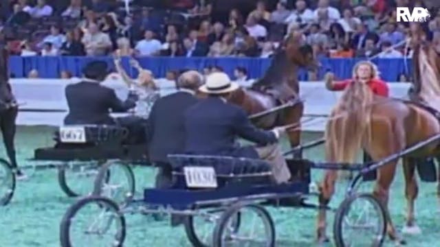 2009 World's Championship Horse Show ...