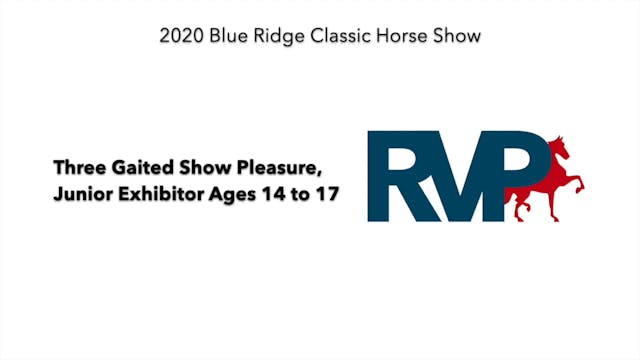 2020 BR - Class 12.1 Three Gaited Sho...