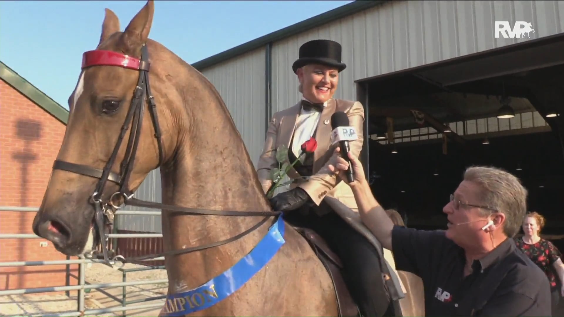 MW18-  Class 187 - Seven Oaks Heir Show Championship