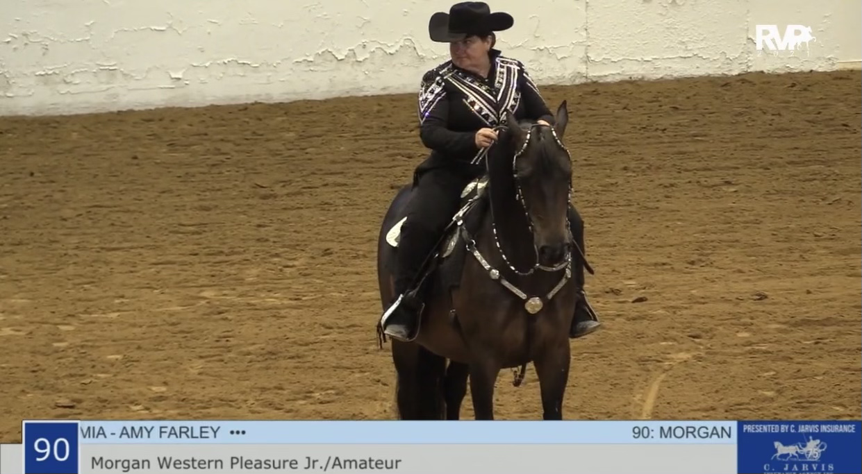 BB21 - Class 90 - Morgan Western Pleasure Junior-Amateur