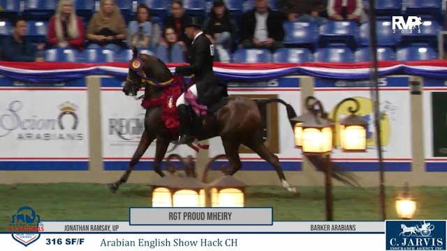 AN25 - Class 316 - RGT Proud Mheiry a...