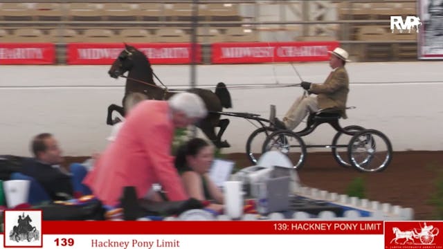 MW24 - Class 139 - Hackney Pony Limit