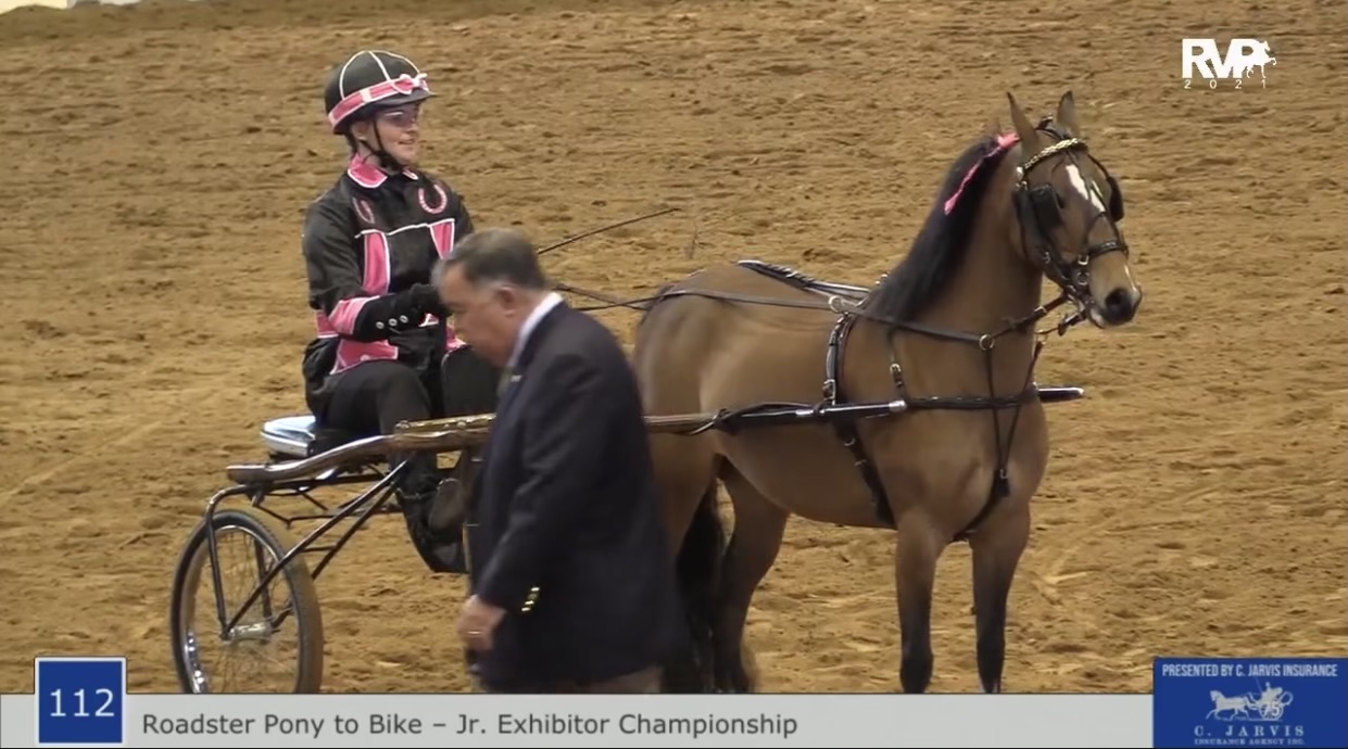 BB21 - Class 112 - Roadster Pony to Bike Junior Exhibitor Championship