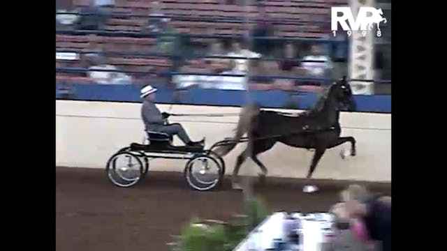 ISF 1998 - Abelarm Elegant Lady and D...