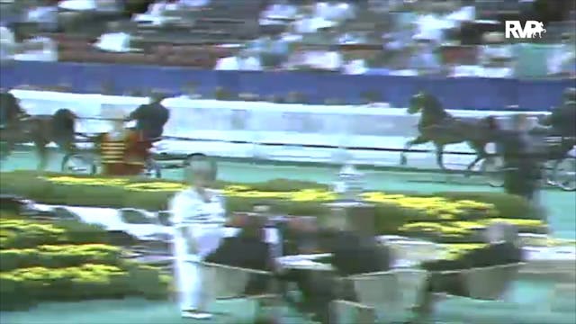1991 WCHS Class 9 AHHS Futurity Three...