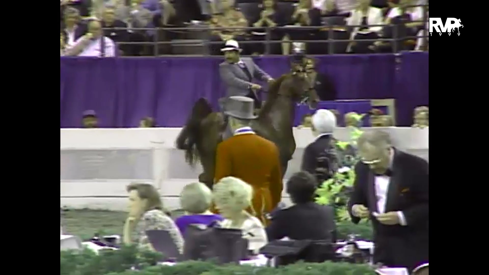 1999 WCHS - Class 190 ASHA National Three Year Old Futurity Five Gaited Finals