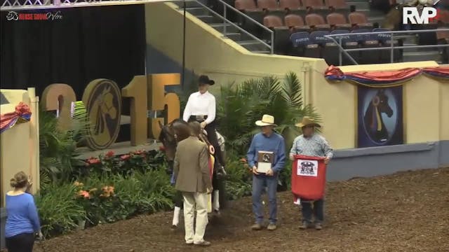 2017 MGN - Class 79 Dressage (all lev...