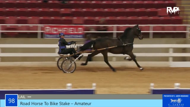 ASW21 - Class 98 - Amateur Road Horse...