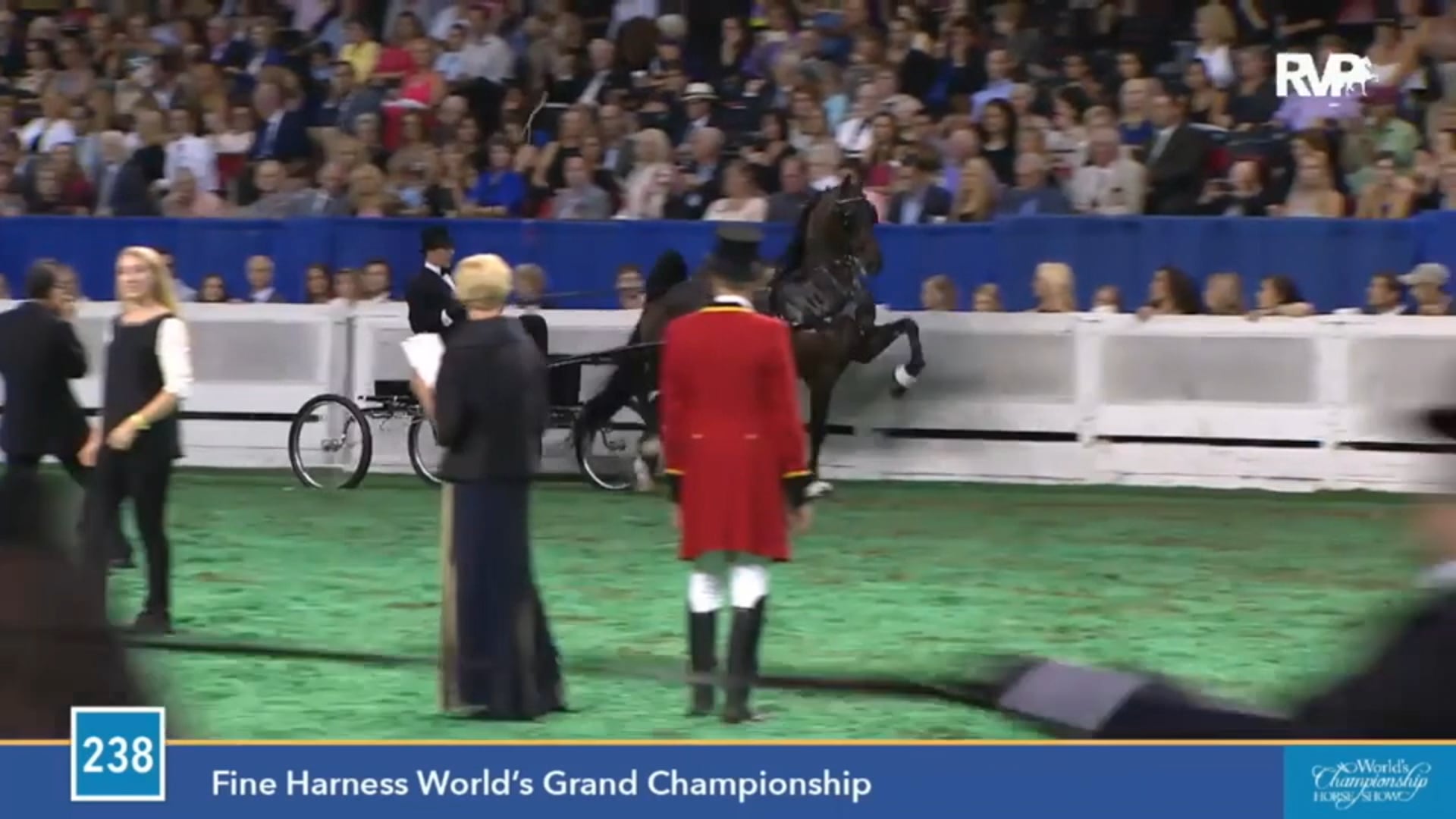 2015 WCHS - Class 238 Fine Harness World's Grand Championship