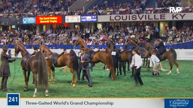 2016 WCHS - Class 241 Three Gaited Wo...