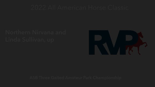 AAC22 - Class 155 -  Northern Nirvana...