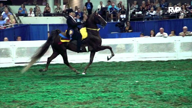 2019 Shenandoah Classic Horse Show - ...