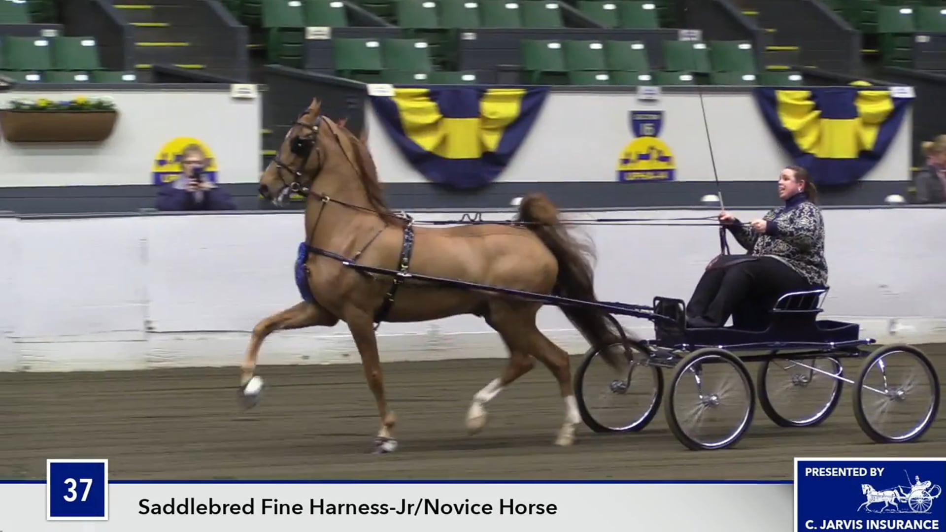 UPHACh14 17 - Undulata's Legends of the Fall 