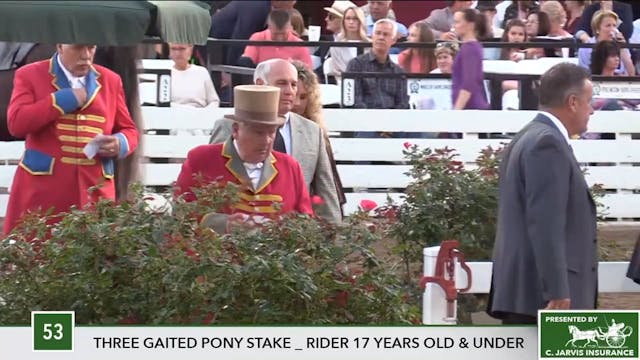 2017 RC - Class 53 Three Gaited Pony ...