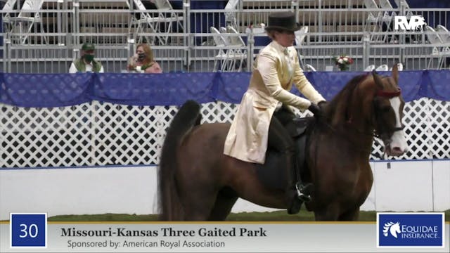 2020 AR - Class 30 MO:KS Three Gaited...