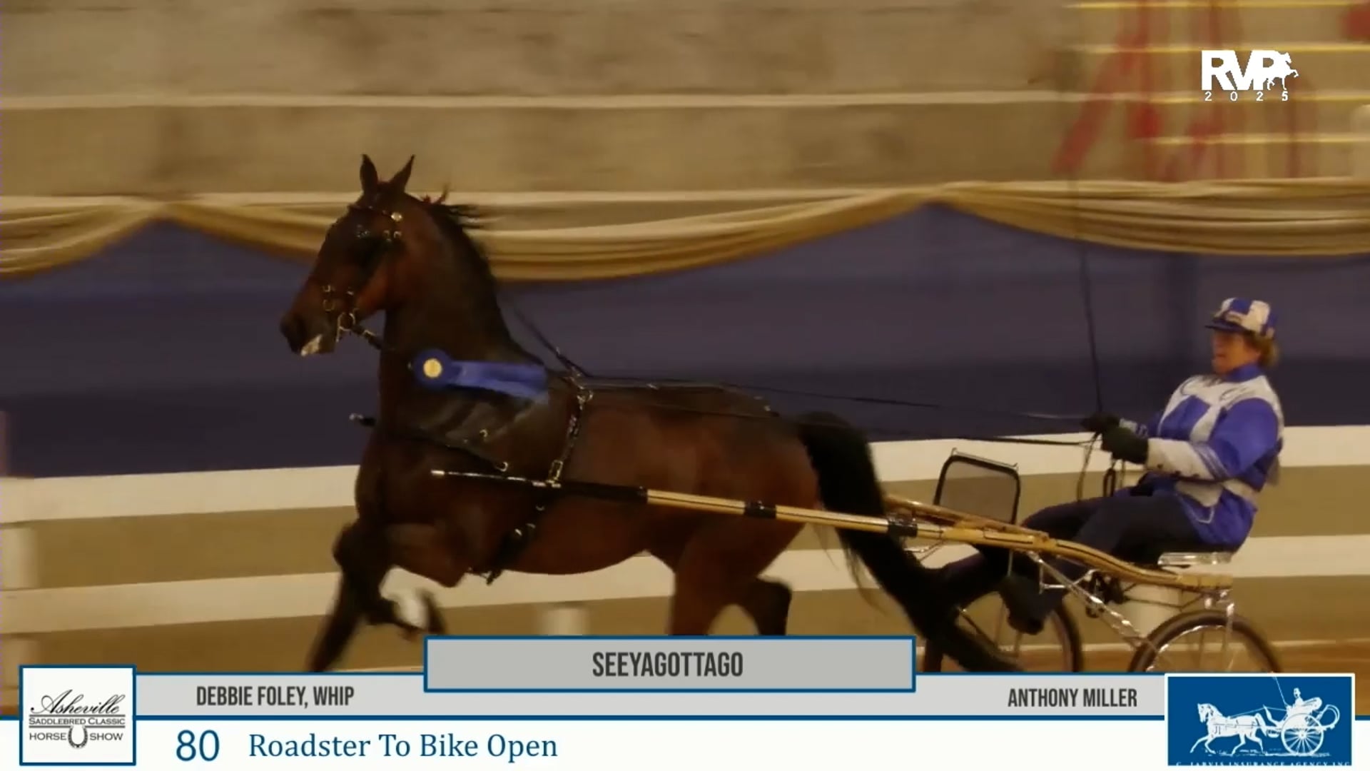 2025 Asheville Saddlebred Classic - Saturday - Morning - 10 May 2025 - 09-38-17 AM