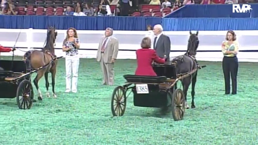 2010 World's Championship Horse Show Class 121 Adult Amateur Hackney-Harness -Pony Pleasure Driving Division 2