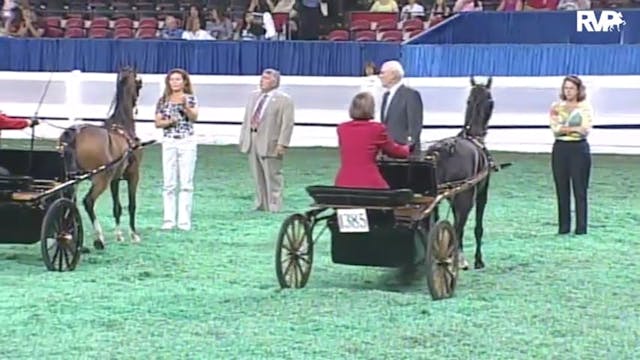 2010 World's Championship Horse Show ...