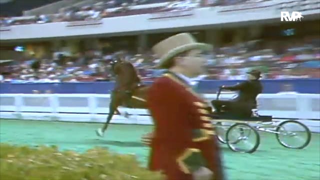 1992 WCHS Class 38 Fine Harness Stall...