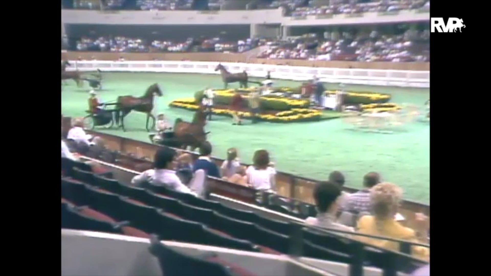 1989 WCHS Class 89 Pleasure Driving Division 1