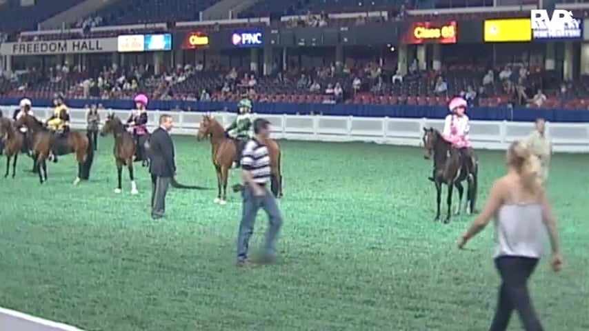 2010 World's Championship Horse Show Class 65 Junior Exhibitor Roadster Pony-Under Saddle- Rider 17 & Under