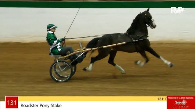 NCSC21 - Class 131 - Roadster Pony Stake