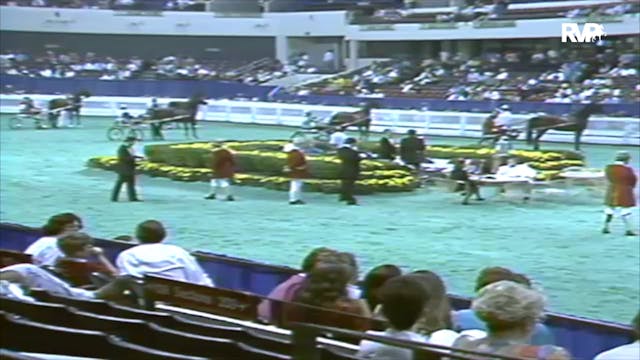 1991 WCHS Class 11 Kentucky County Fa...