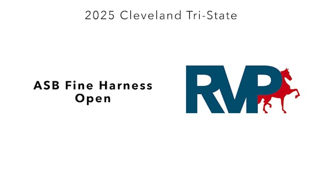 CTS25 - Class 15 - ASB Fine Harness Open