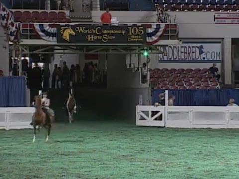 2008 WCHS Class 113 Three Gaited Coun...