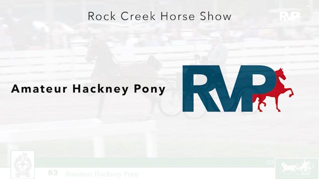 RC24 - Class 63 - Amateur Hackney Pony