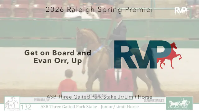 RSP26 - Class 132 - Get on Board and ...