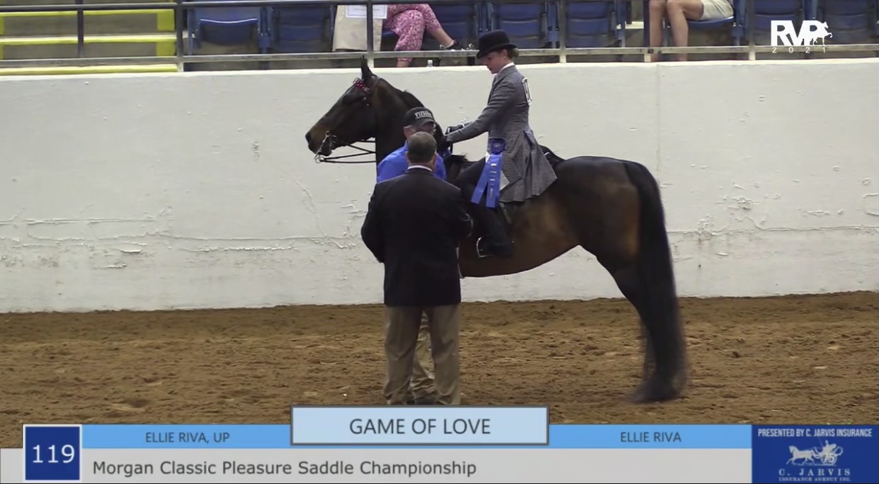 2021 Bonnie Blue National Horse Show - Saturday Morning