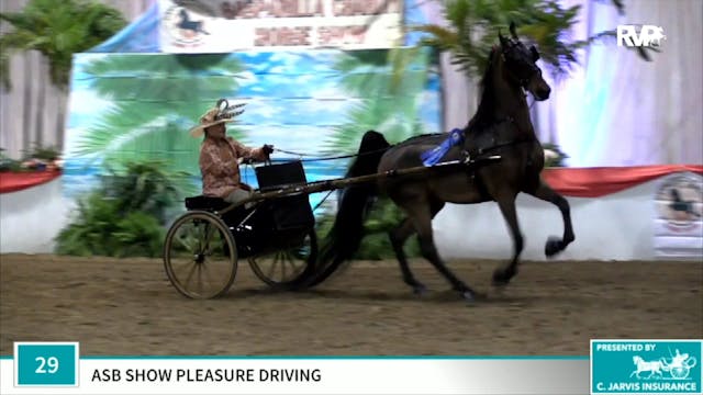 2019 Gasparilla Charity Horse Show - ...