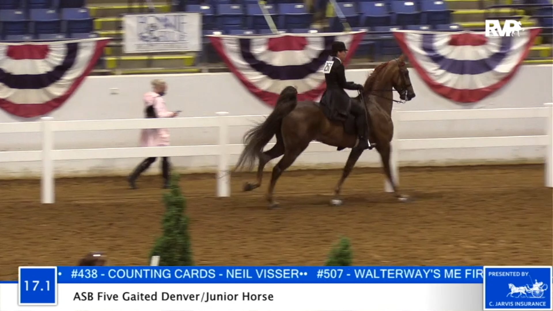 2020 BB - Class 17.1 ASB Five Gaited Denver Junior Horse