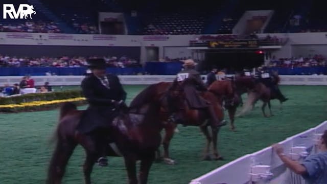 2004 World's Championship Horse Show ...