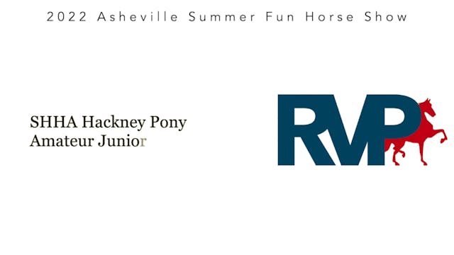 ASF22 - Class 68 - SHHA Hackney Pony ...