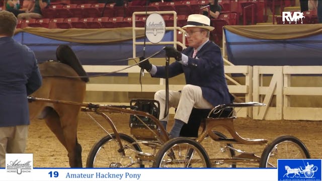 ASC24 - Class 19 - Amateur Hackney Pony