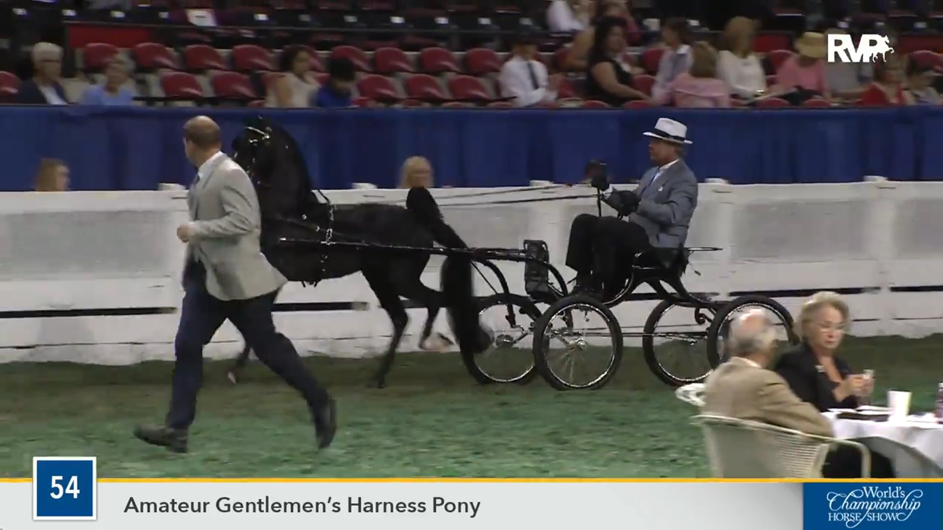 WCHS16 - Twin Willows Handsome Dan