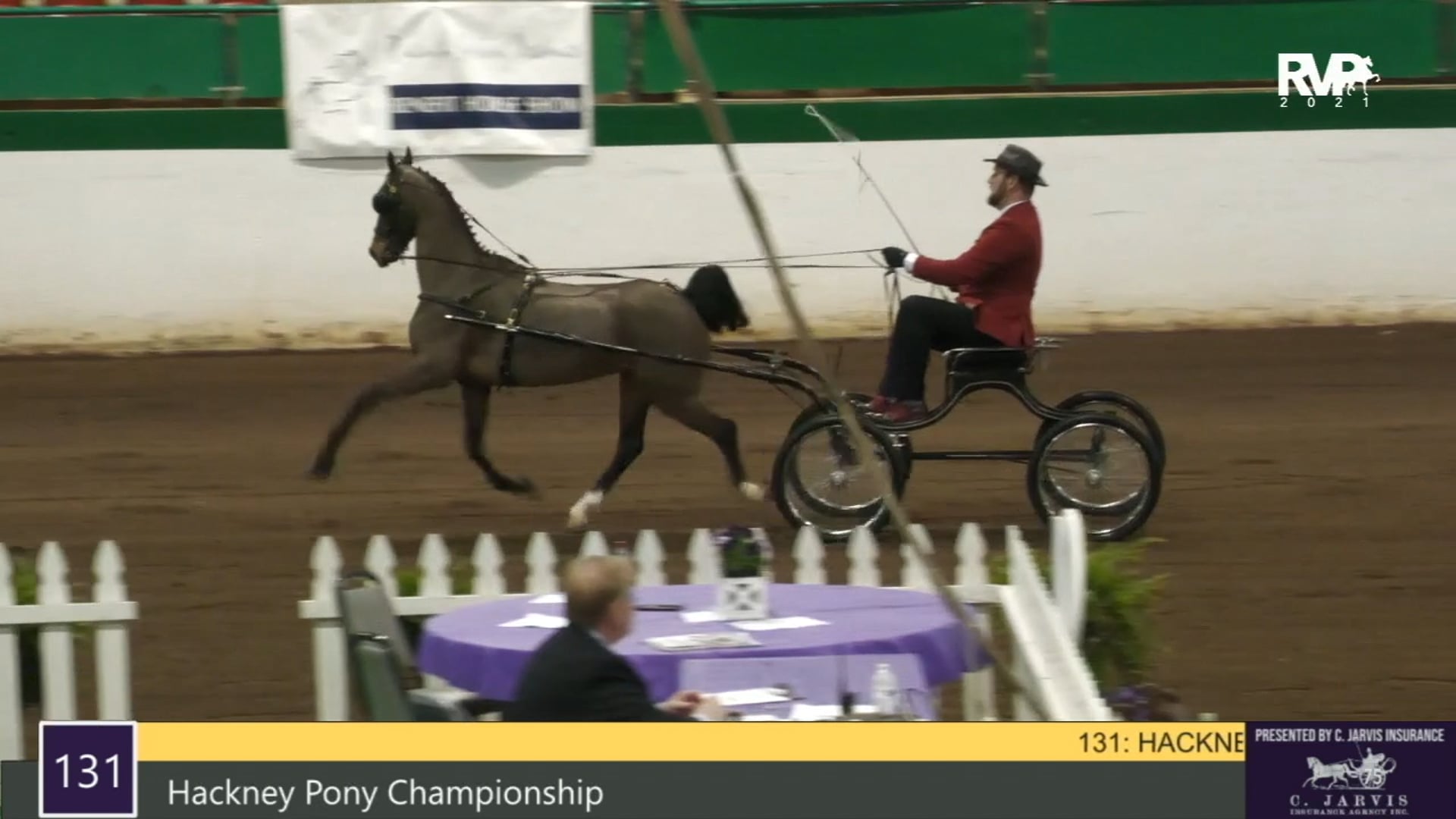 RSP21 - Class 131 - Hackney Pony Championship