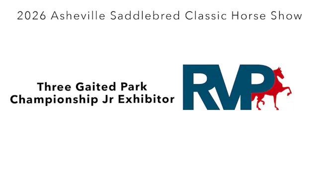 ASC26 - Class 136 - Three Gaited Park...