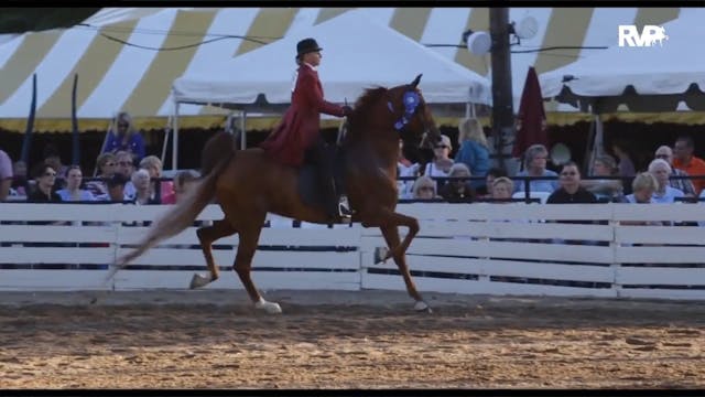 RC16 Wednesday Night Highlights