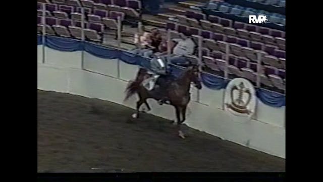 2004 American Royal - 3 Gaited Classi...