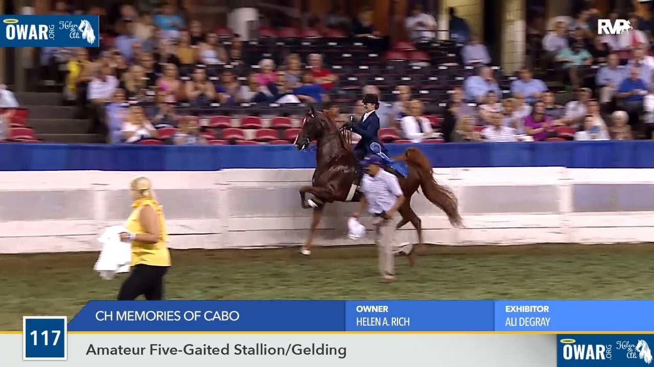 WCHS18 Class 117 - CH Memories of Cabo