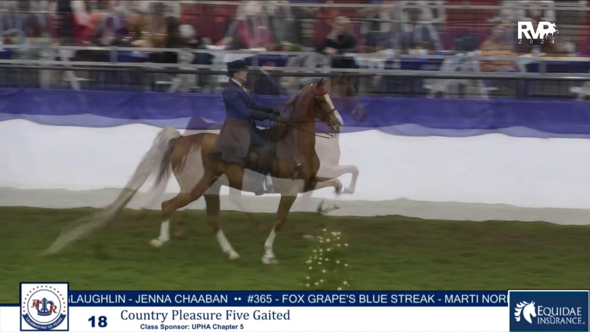 AR24 - Class 18 - Country Pleasure Five Gaited