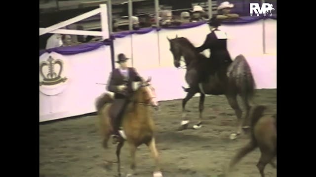 2002 AR - Class 85 UPHA Five Gaited C...