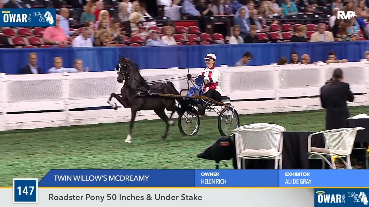 WCHS18 Class 147 - Twin Willow's McDreamy