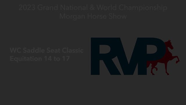 MGN23 - Class 398 - WC Saddle Seat Cl...