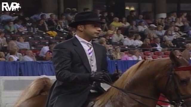 2004 World's Championship Horse Show ...