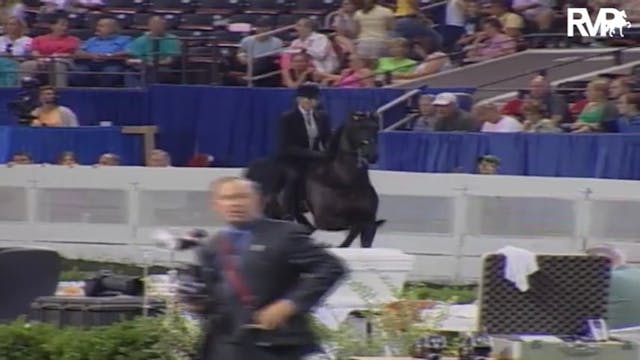 2004 World's Championship Horse Show ...