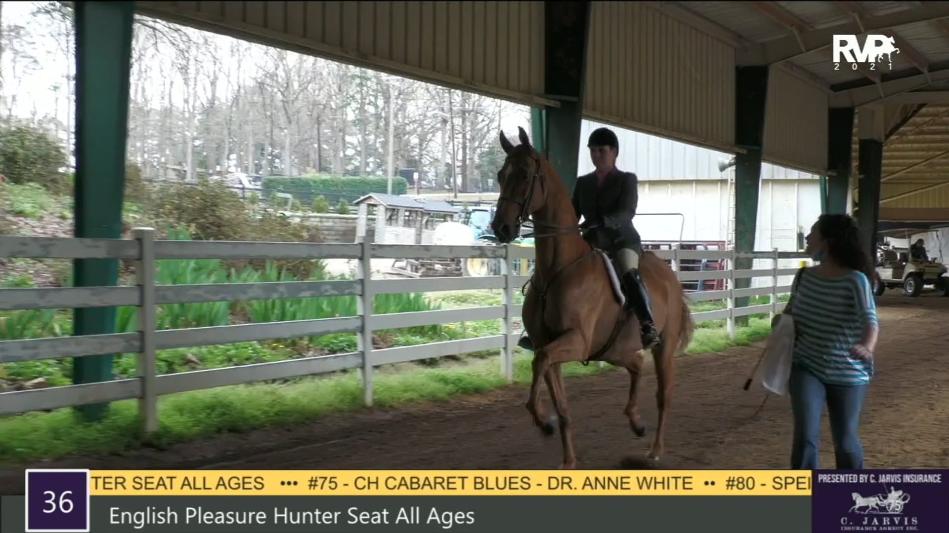 RSP21 - Class 36 - English Pleasure Hunt Seat
All Ages